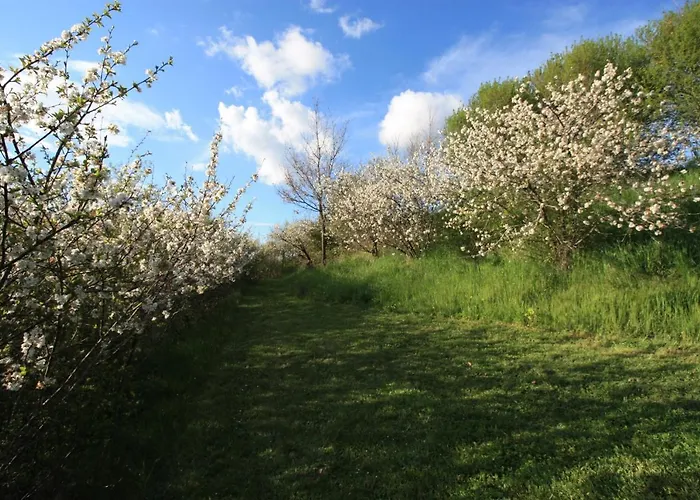 Nocleg ze śniadaniem D'hotes De Jacobiel *