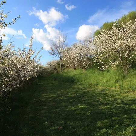 B&B D'hotes De Jacobiel *