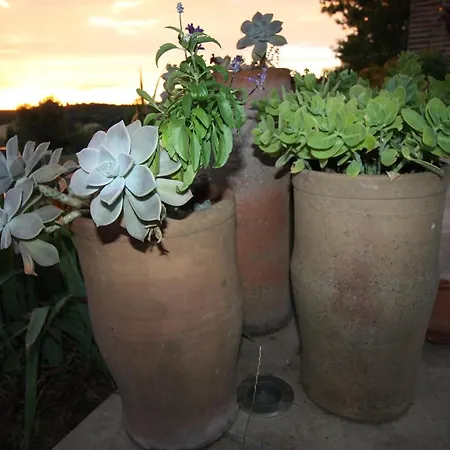 D'hotes De Jacobiel Bed and Breakfast