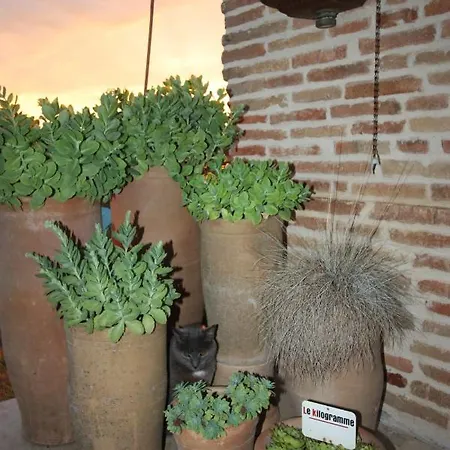 D'hotes De Jacobiel Verlhac-Tescou